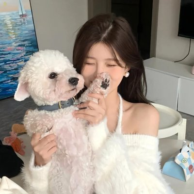 新猛龙过江